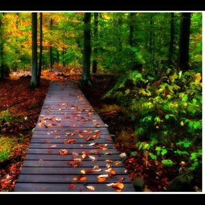 Meet your Posher, Brenda